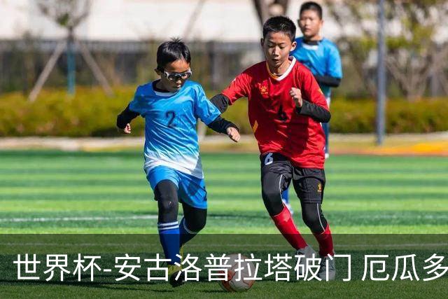 世界杯-安古洛普拉塔破门 厄瓜多尔2-1逆转德国出线